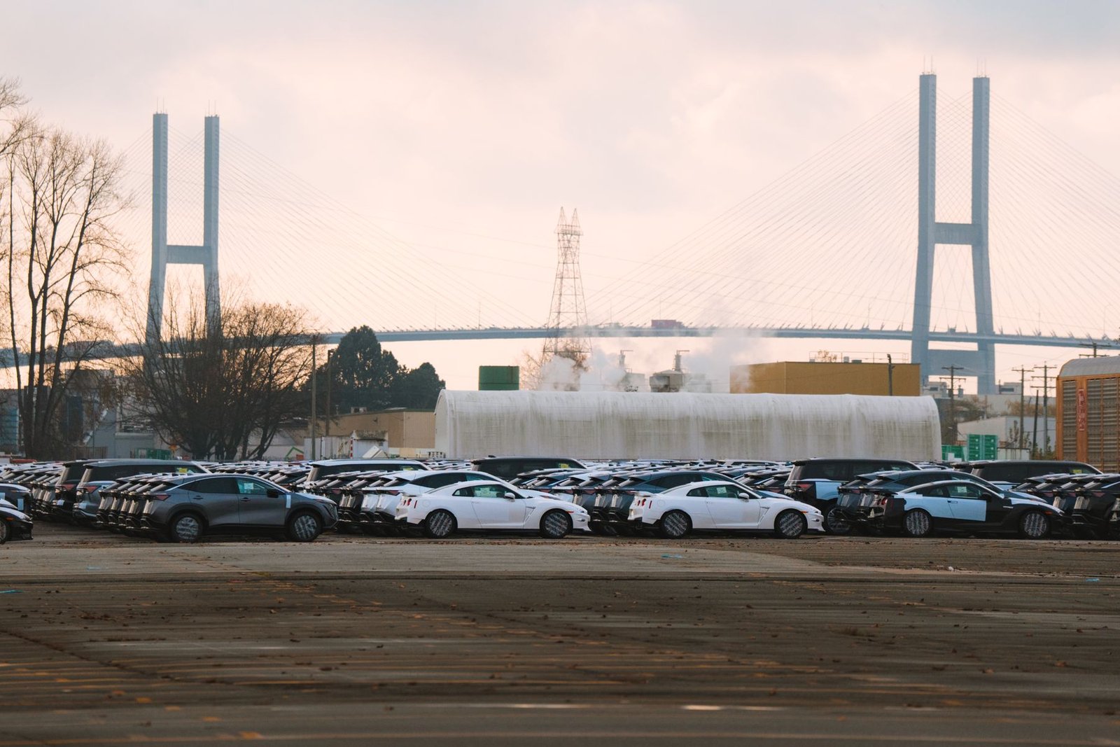 Rows of used vehicles parked on a car sales lot