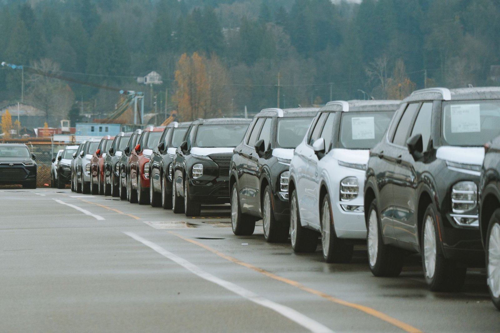 Used cars and SUVs lined up on a dealership lot